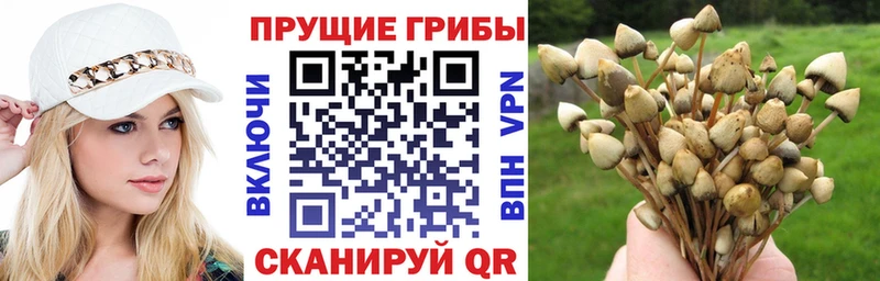 Галлюциногенные грибы Magic Shrooms  цена   Правдинск 